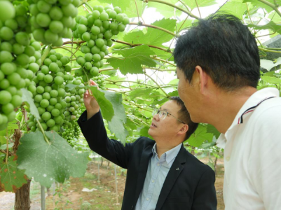 普惠金融精准滴灌农村特色产业——江西裕民银行助力乡村振兴纪实