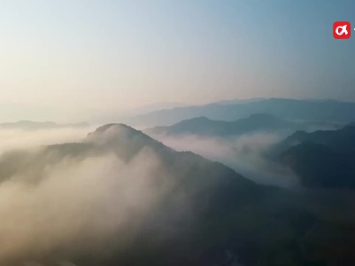 “互联网+”让千年瓷都“活”起来