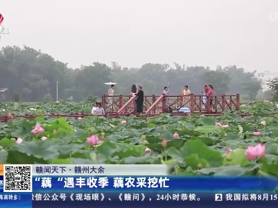 都市现场·午间版20230627