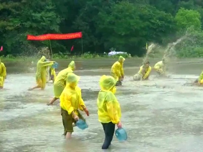 江西浮梁：泥田狂欢 真接地气