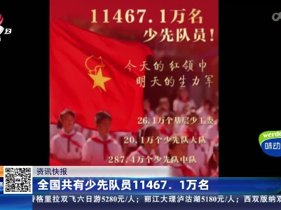 全国共有少先队员11467.1万名