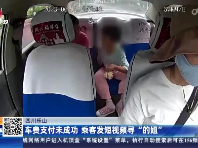 四川乐山：车费支付未成功 乘客发短视频寻“的姐”