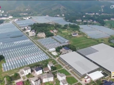 新闻晚高峰20230609