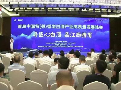 首届中国特（兼）香型白酒产业高质量发展峰会开幕