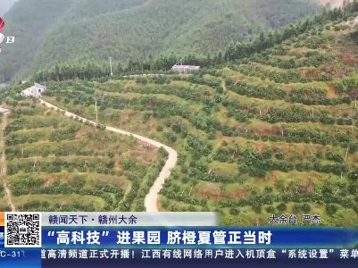 都市现场·午间版20230615