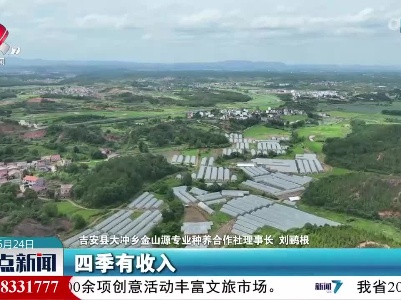 整点新闻20230624 10：00
