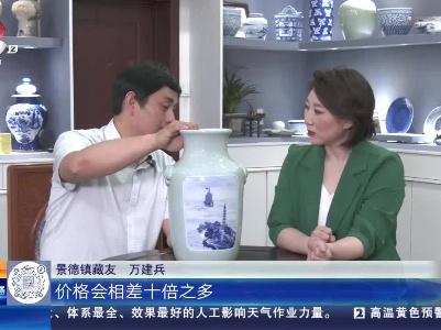 【家有收藏·我和收藏的故事（第二季）】35万拍下的一个瓷瓶