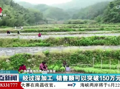 整点新闻20230613 12:00