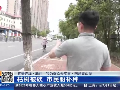 【直播连线·赣问 我为群众办实事】南昌青山湖：枯树被砍 市民盼补种