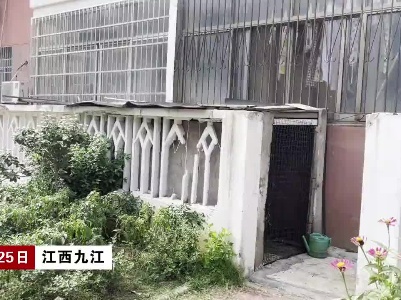 今帮忙·江西九江：臭气熏天！邻居在小区内养鸽子令人烦