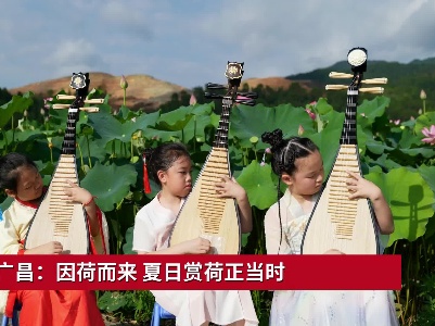 抚州广昌：因荷而来 夏日赏荷正当时