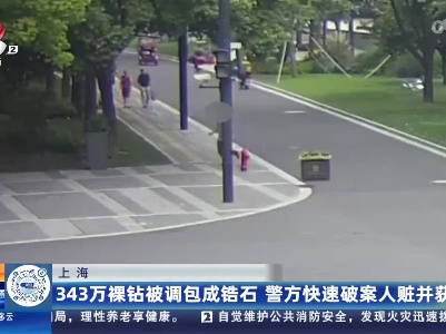 上海：343万裸钻被掉包成锆石 警方快速破案人赃并获