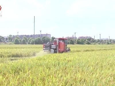 梁桂在安义县调研