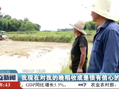 整点新闻20230717 16:00