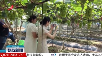整点新闻20230720 14:00