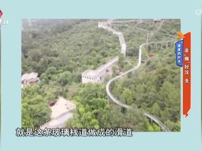 地宝当家20230731