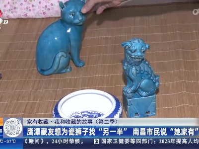 【家有收藏·我和收藏的故事（第二季）】鹰潭藏友想为瓷狮子找“另一半”南昌市民说“她家有”