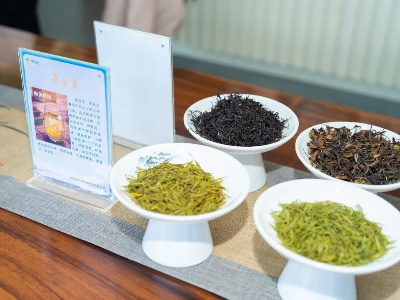 【三比三争】靖安茶叶加工中心隆重开业   靖安白茶迈向高质量发展新里程