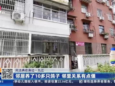 【民法典在身边】九江：邻居养了10多只鸽子 邻里关系有点僵