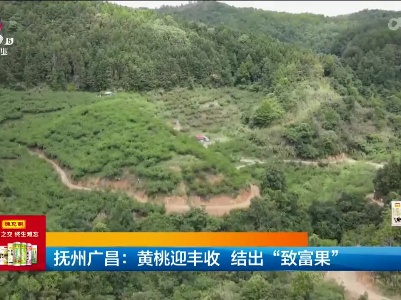 新闻晚高峰20230729