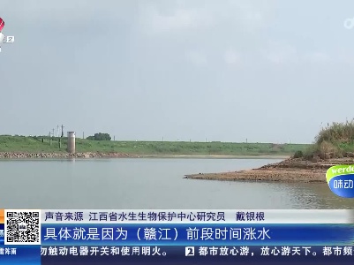 都市现场20230720