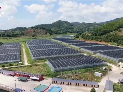 新闻晚高峰20230721