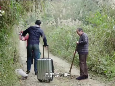 乡村栏目剧场20230705 海棠花开