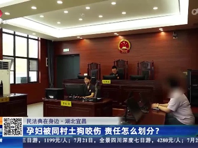 【民法典在身边】湖北宜昌：孕妇被同村土狗咬伤 责任怎么划分？