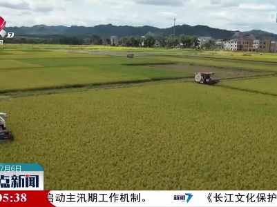 整点新闻20230706 10:00