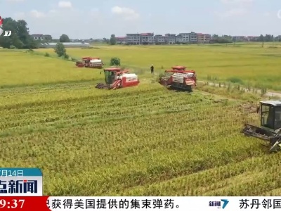 整点新闻20230714 14:00