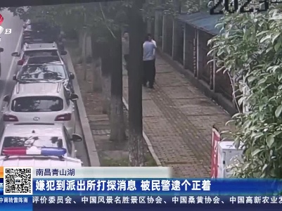 南昌青山湖：嫌犯到派出所打探消息 被民警逮个正着