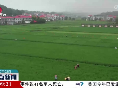 整点新闻20230702 12:00
