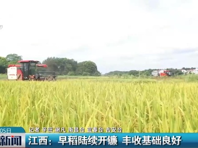 整点新闻20230705 12:00