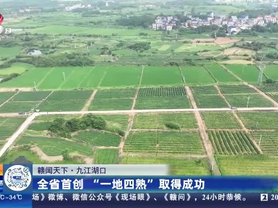 【赣闻天下】九江湖口：全省首创“一地四熟”取得成功