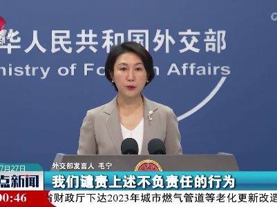 外交部发言人回应武汉市地震监测中心遭受网络攻击