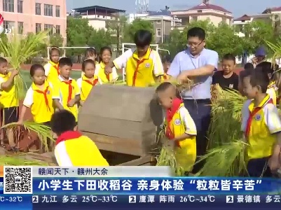 【赣闻天下】赣州大余：小学生下田收稻谷 亲身体验“粒粒皆辛苦”