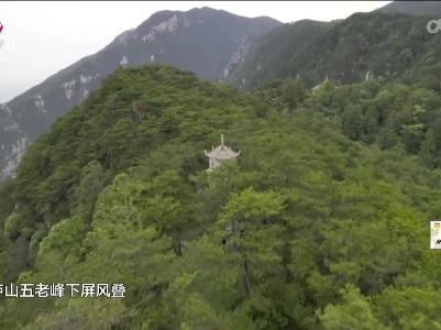 李白：《长安三万里》九江庐山诗百篇