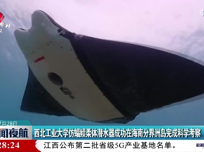 西北工业大学仿蝠鲼柔体潜水器成功在海南分界洲岛完成科学考察