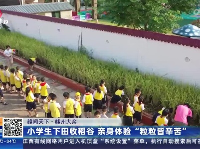 【赣闻天下】赣州大余：小学生下田收稻谷 亲身体验“粒粒皆辛苦”