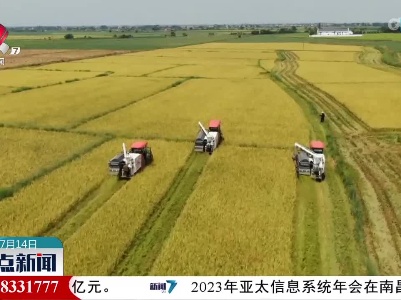 江西：推广减损技术 力促早稻增产