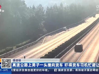 景德镇：高速公路上男子一头撞向货车 吓得货车司机忙避让