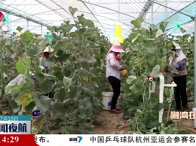 赣县区：打好农产品融湾“三张牌”