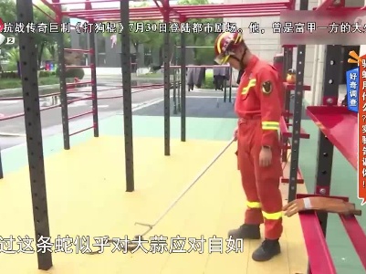 地宝当家20230729