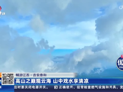 【畅游江西】吉安泰和：高山之巅观云海 山中戏水享清凉