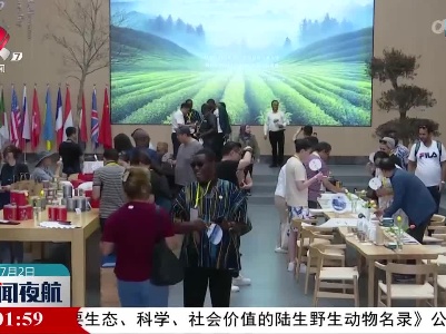 新闻夜航20230702