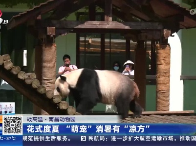 【战高温】南昌动物园：花式度夏 “萌宠”消暑有“凉方”