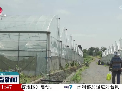 夏日丰收季 助力群众增收致富