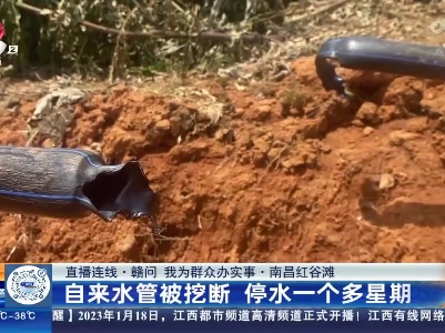 都市现场·午间版20230713