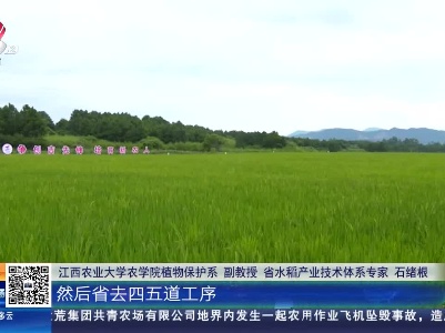 都市现场·午间版20230723