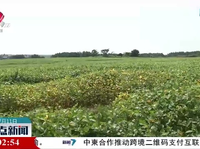 整点新闻20230711 16:00
